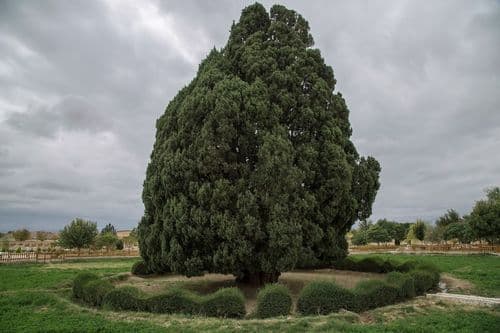 persiaventura - abarkooh